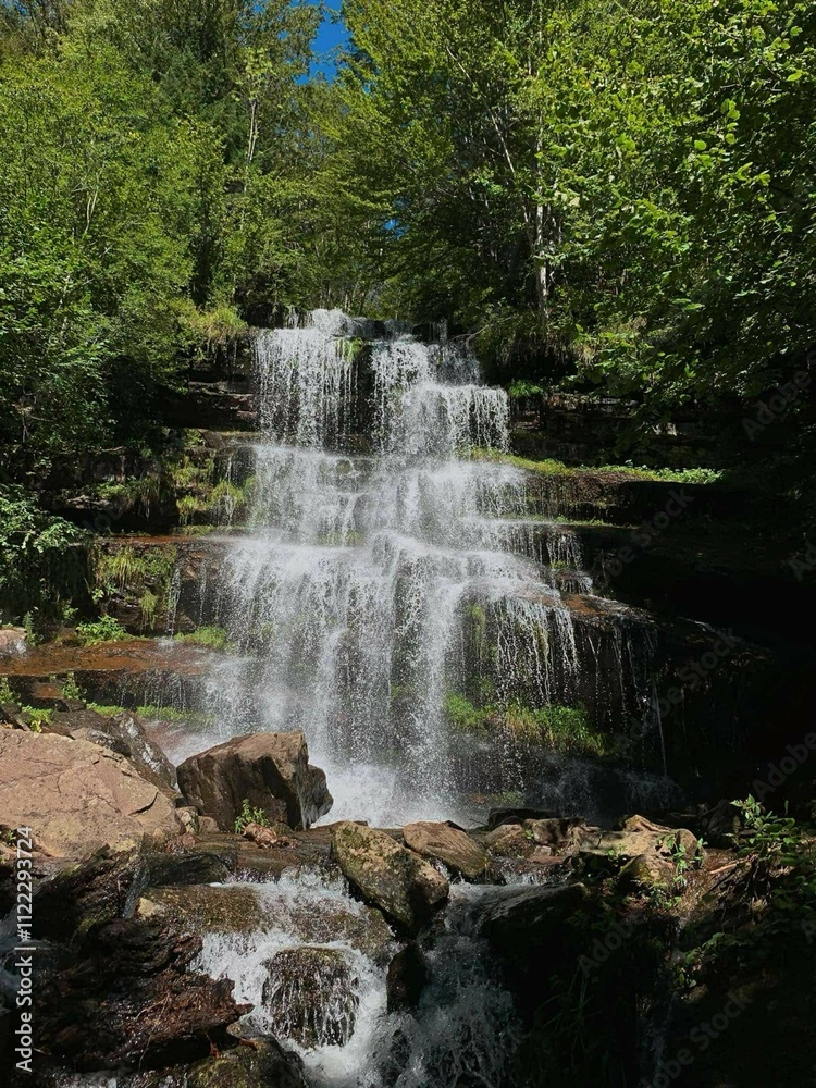 Fototapeta premium waterfall in the forest