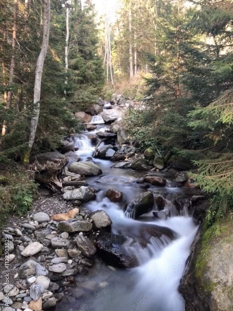 Obraz premium mountain river in the forest