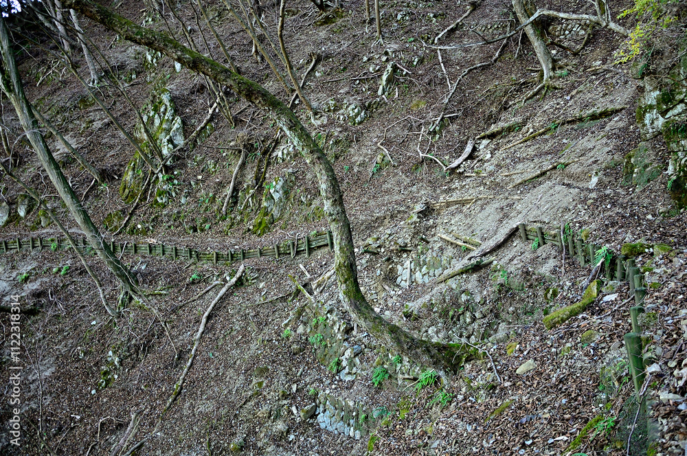Obraz premium 崩落した斜面を通る危険な登山道 丹沢の大山三峰山 