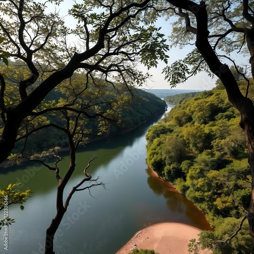 Treetops with leaves on the bank of the mondego with aerial view of the river beach of reconquinho penacova portugal River landscapes water travel sky beautiful background landscape photography  photo