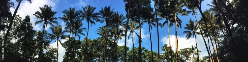 Fototapeta premium Tall Palm Trees Reach for a Sunny Sky