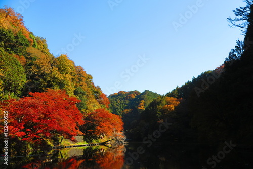 鎌北湖の紅葉の風景5 photo