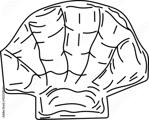 Line Drawing of Scallop Shell Outline.