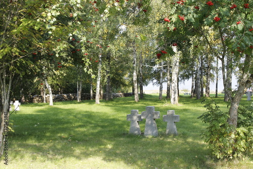 The old German cemetery on Lake Ilmen photo