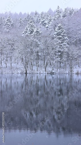 Wallpaper Mural vertical slowmotion video of lake and snow covered trees in winter, snow falling  Torontodigital.ca