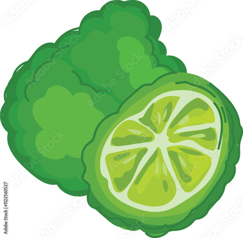 Vector illustration of a whole kaffir lime, its unique bumpy peel.