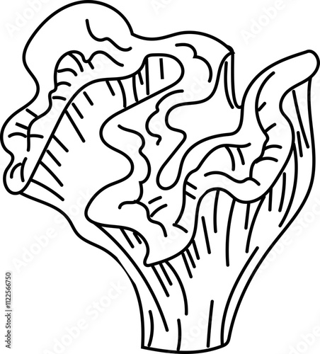 Illustration of frilly mushroom outline.