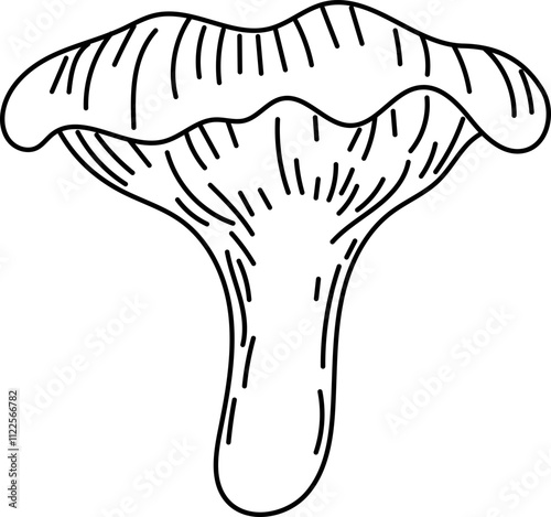 Line art of chanterelle mushroom.