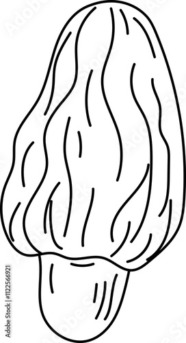 Morel mushroom line art illustration.
