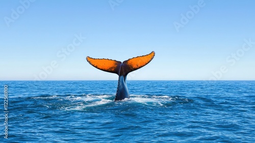 A majestic whale tail rises from the ocean's surface, showcasing its vibrant colors against a clear blue sky.