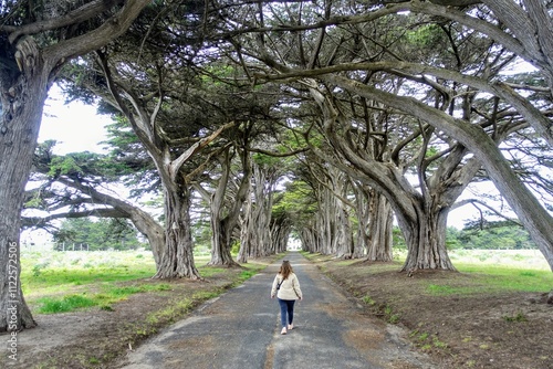 A woman posing in front of famous Monterey cypress tree tunnel, leading to a historic radio station, in Point Reyes National Seashore photo