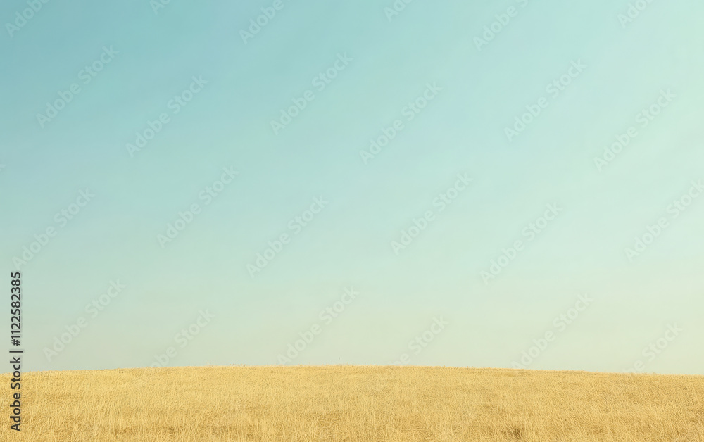 Fototapeta premium Golden fields under a clear blue sky during a sunny day in rural landscape