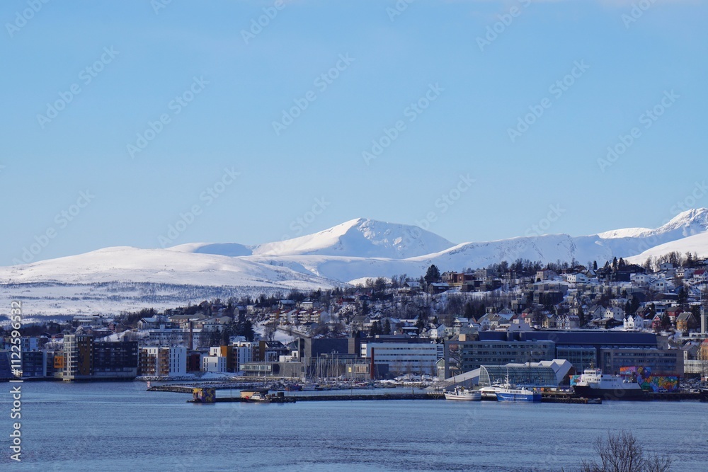 City view with snow mountain background.