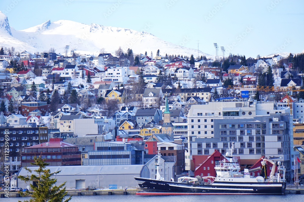 Beautiful city view with snow mountain background.