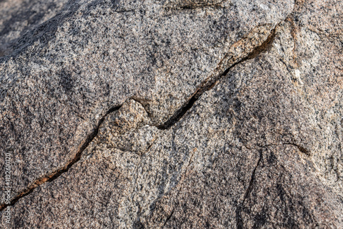 Colorado Desert section of the Sonoran Desert. Pinto Basin Rd, Joshua Tree National Park California，Mesozoi Plutonic Rocks, Gray biotite - rich granodiorite to quartz diorite. granite. Weathering  photo