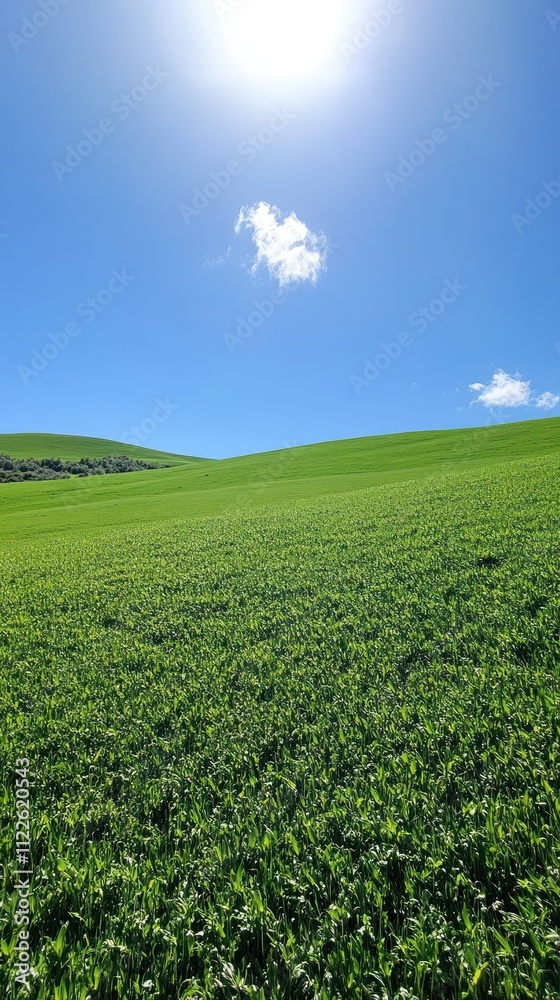 Naklejka premium A vibrant green landscape under a clear blue sky with the sun shining brightly.