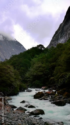 Hollyford River / Whakatipu Kā Tuka Scenic View
 photo