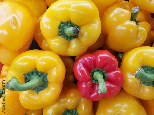 Fresh yellow and red bell pepper or capicum. Fresh capcicum or some call bell pepper on sale in Asian market photo