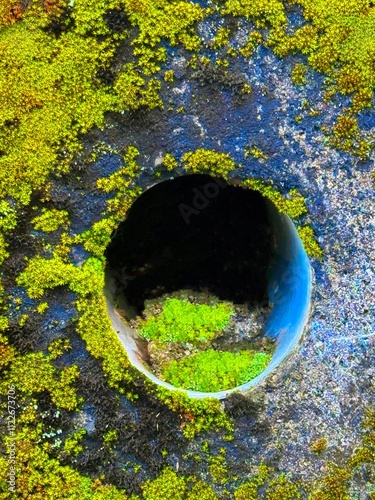 異世界につながっていそうな苔の生えた排水管