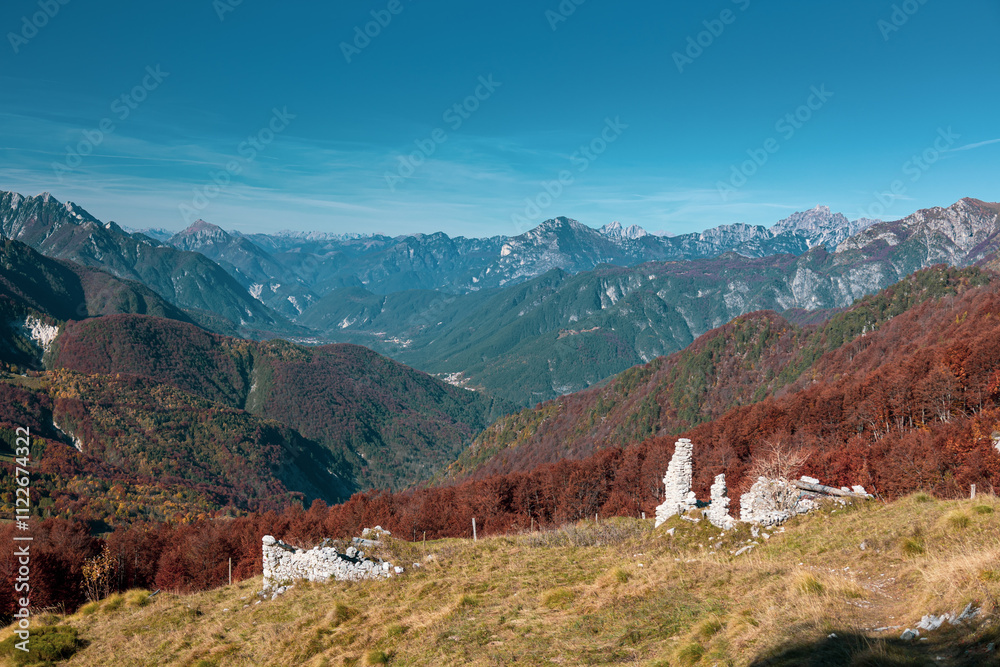 Foliage in the woods of Val di Resia, Friuli-Venezia Giulia
