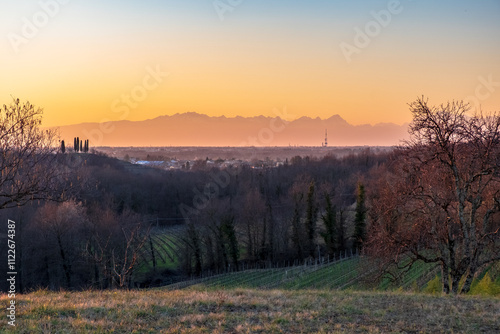 Winter sunset in the vineyards of Collio Friulano