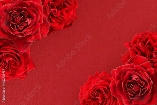 Red rose flowers in a corne...