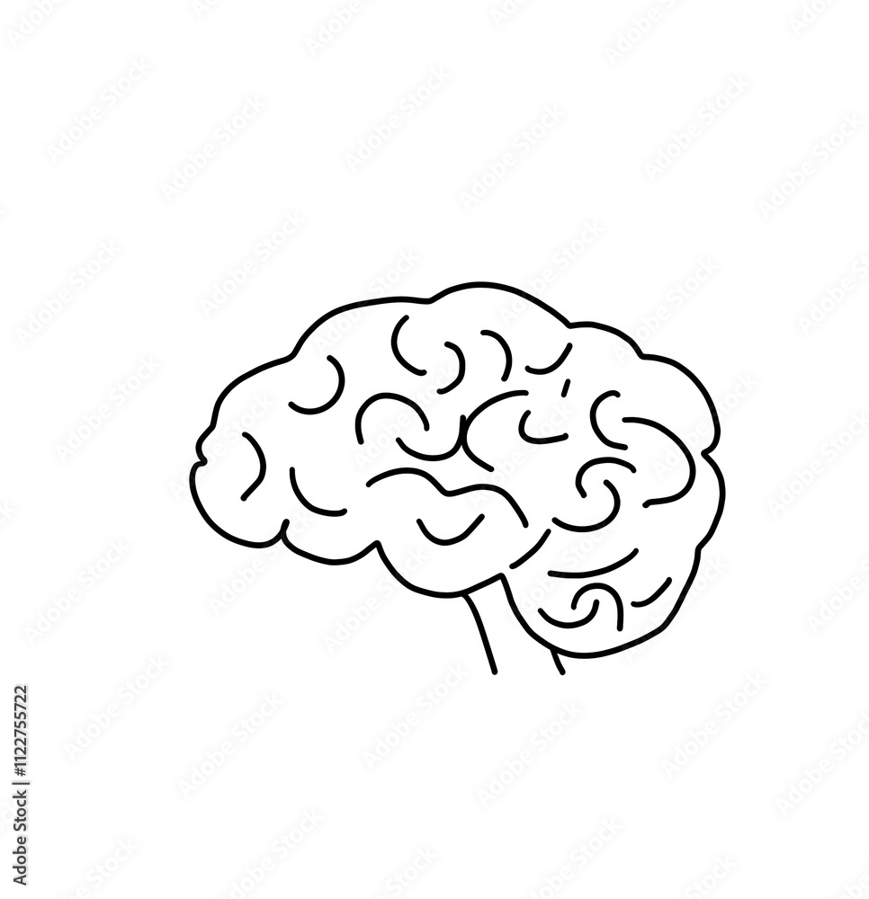 human brain illustration on white background drawing human brain illustration on white background drawing