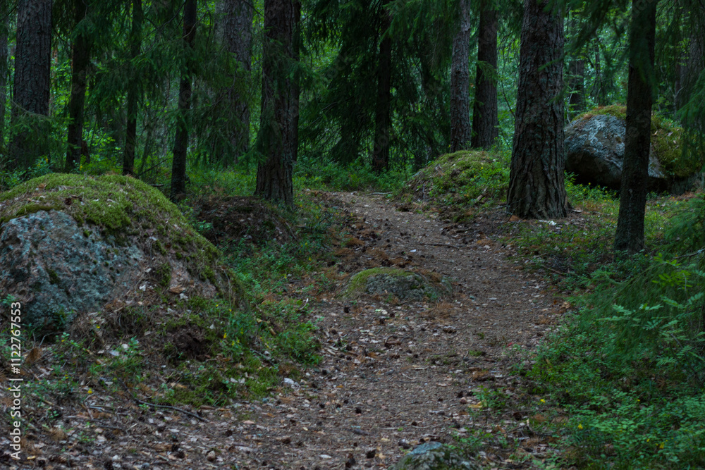 Obraz premium Path in the green forest. Monrepos Park. Vyborg.