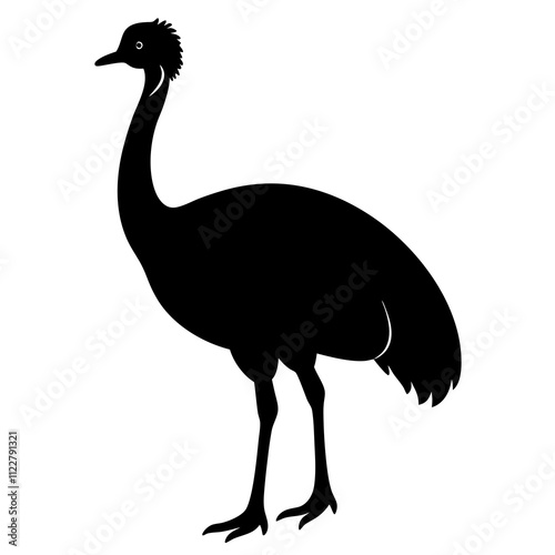 ostrich isolated on white