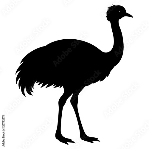 ostrich isolated on white photo