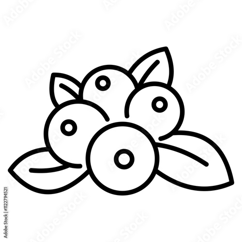 cranberries icon