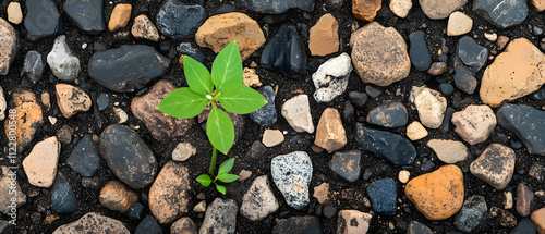 Various recycling and waste disposal activities and green space, loving the world, a green world for a friendly environment photo