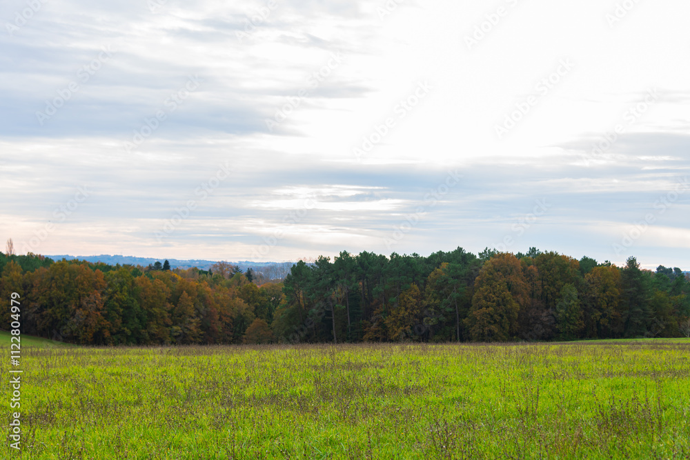 Obraz premium Photograph of an autumn landscape. Field with green fresh and dry gray grass. Forest with colorful leaves in the background