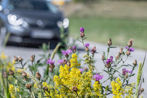 Colorful flower strip on the roadside planted as food source for insects in urban areas.