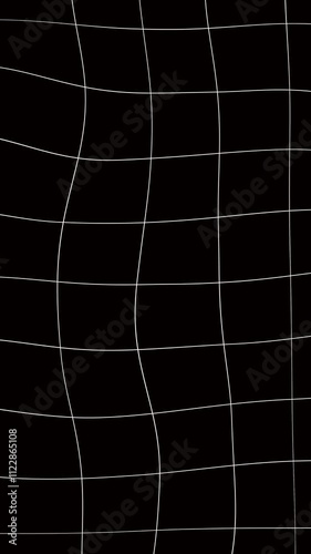 portrait digital black and white distorted dynamic graphic grid animated background animation