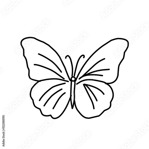 butterfly illustration outline