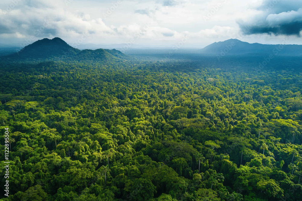 Fototapeta premium Aerial photography, spectacular forest, spectacular mountains,