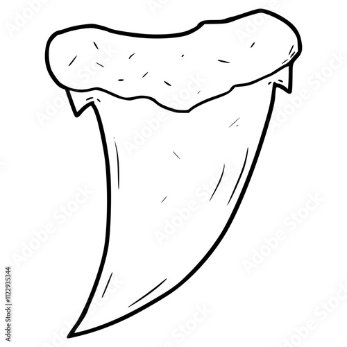 shark tooth illustration hand drawn outline vector