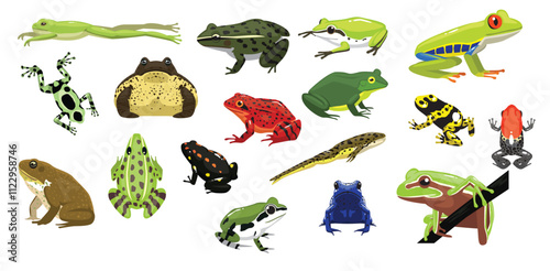 Various Frogs Cartoon Vector Illustration photo