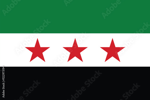 The opposition's new three-star Syrian flag covering the frame