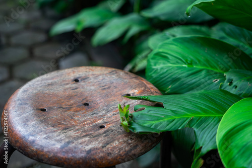 Potrait of wooden stool with a nature background