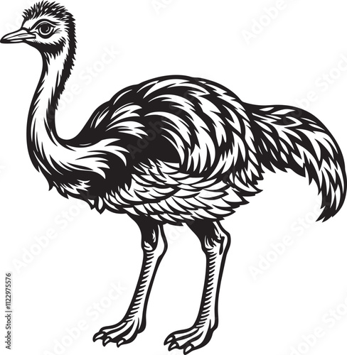 illustration of an ostrich