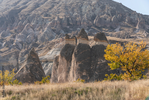 Chimeneas de hadas en el museo al aire libre de Göreme, Capadocia, Turquía.  photo