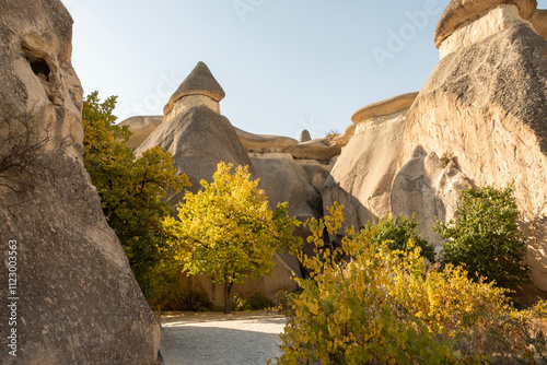 Chimeneas de hadas en el museo al aire libre de Göreme, Capadocia, Turquía.  photo