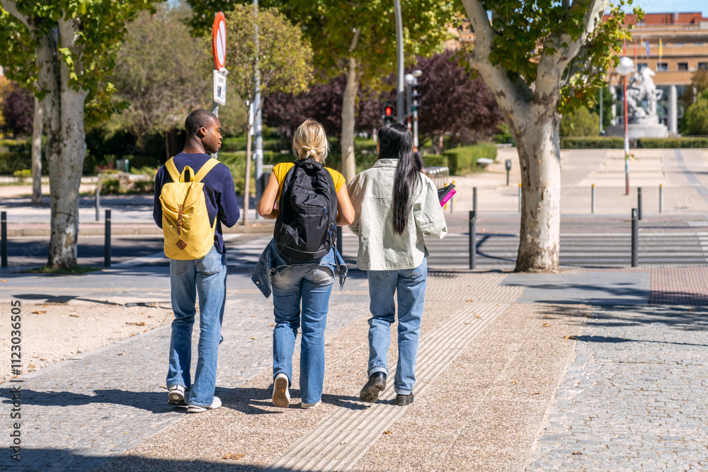 Obraz premium Multiethnic university students walking on campus