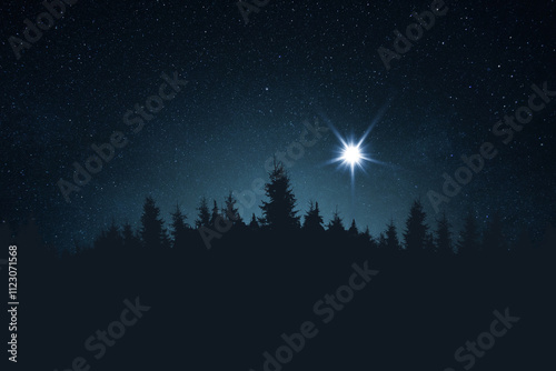 Bild auf Leinwand The star shines over the manger of Christmas of Jesus Christ