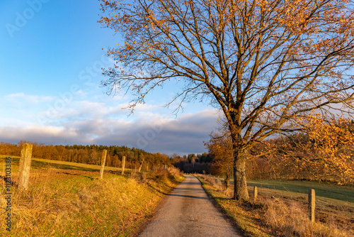 Obraz na płótnie A country road on a bright autumn evening. w salonie