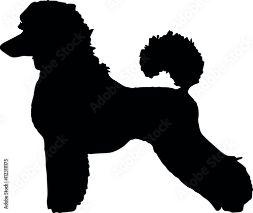 Black silhouette of a poodle dog isolated on a transparent background. Flat vector illustration