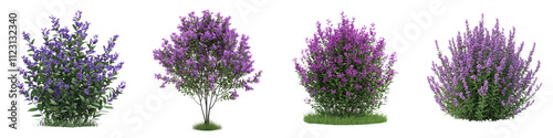Vibrant purple flowering bush in a lush garden landscape attracting butterflies and other pollinators as part of an eco friendly biodiversity supporting plant design photo