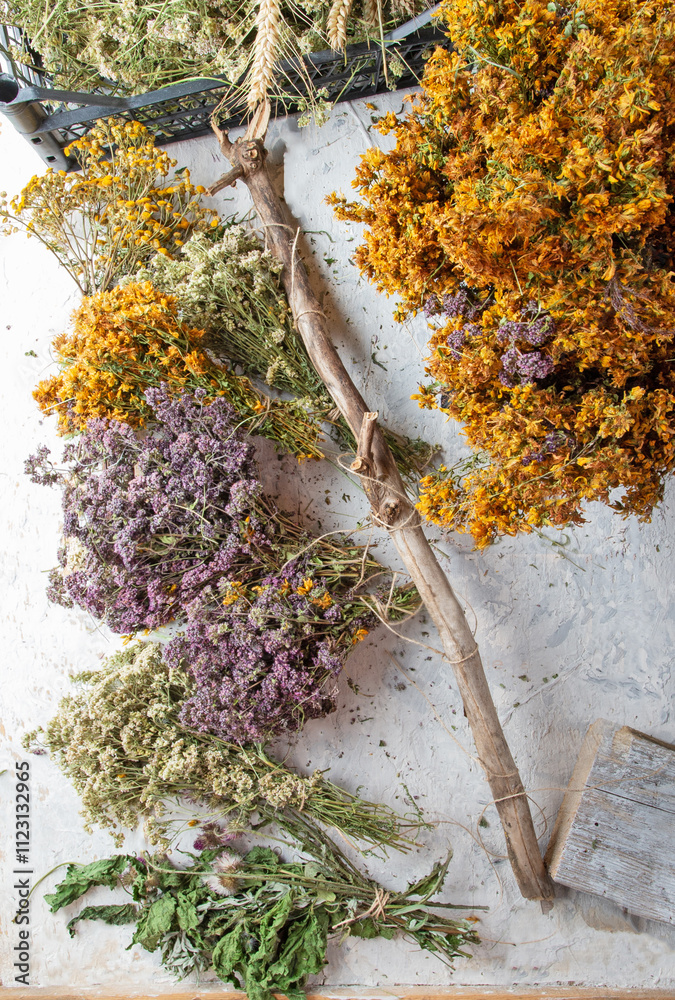 different wild medicinal dry herbs: white yarrow herb blossoming, yellow tansy herb, lilac marjoram\oregano, St. John's wort at white background